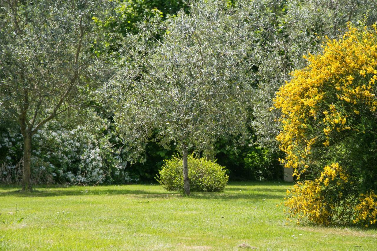 Bed and Breakfast Les Dames De Nage Grand-Champ Экстерьер фото
